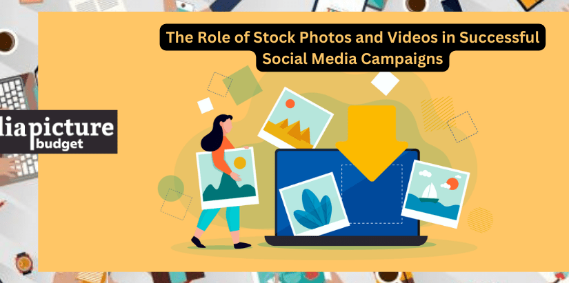 The Role of Stock Photos and Videos in Successful Social Media Campaigns